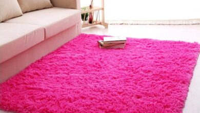 Cute rugs amazon.com: forever lover soft indoor morden shaggy area rug pad, 2.5 x WXSCLNO