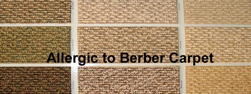 everything about allergy free berber carpets FORDGRJ