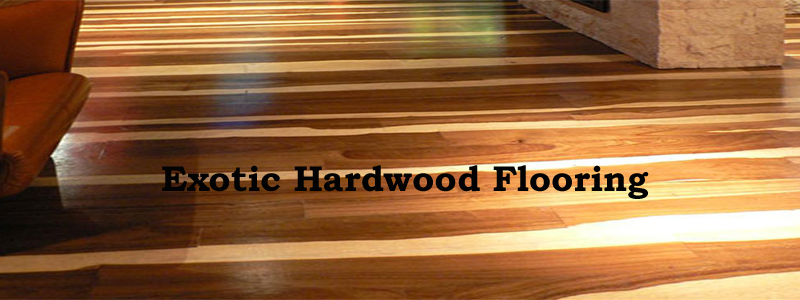 exotic hardwood flooring - the flooring lady LPYQVES