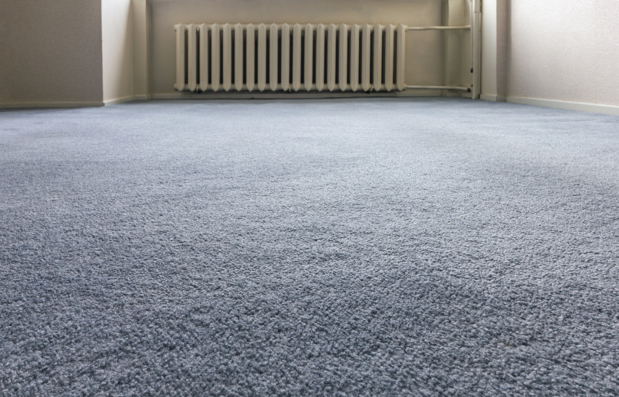 floor carpet brilliant carpet and flooring 28 EMVAVXM
