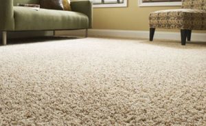 floor carpet carpet flooring NDJSLGY