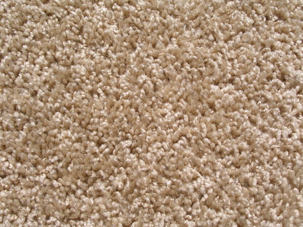 frieze plush textured carpet for residential or commercial use.  approximately 1/2 MFZPNSV