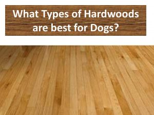 hardwood flooring types decor of best wood flooring for dogs best hardwood floor for dogs types OWRKLJI