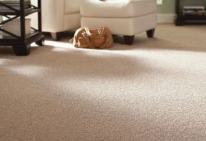 home carpet carpeting XFBJYLD