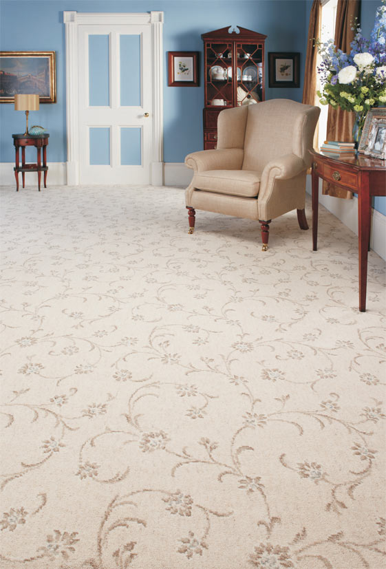 home carpet refresh and revive your home with professional carpet cleaning RQNTOLI