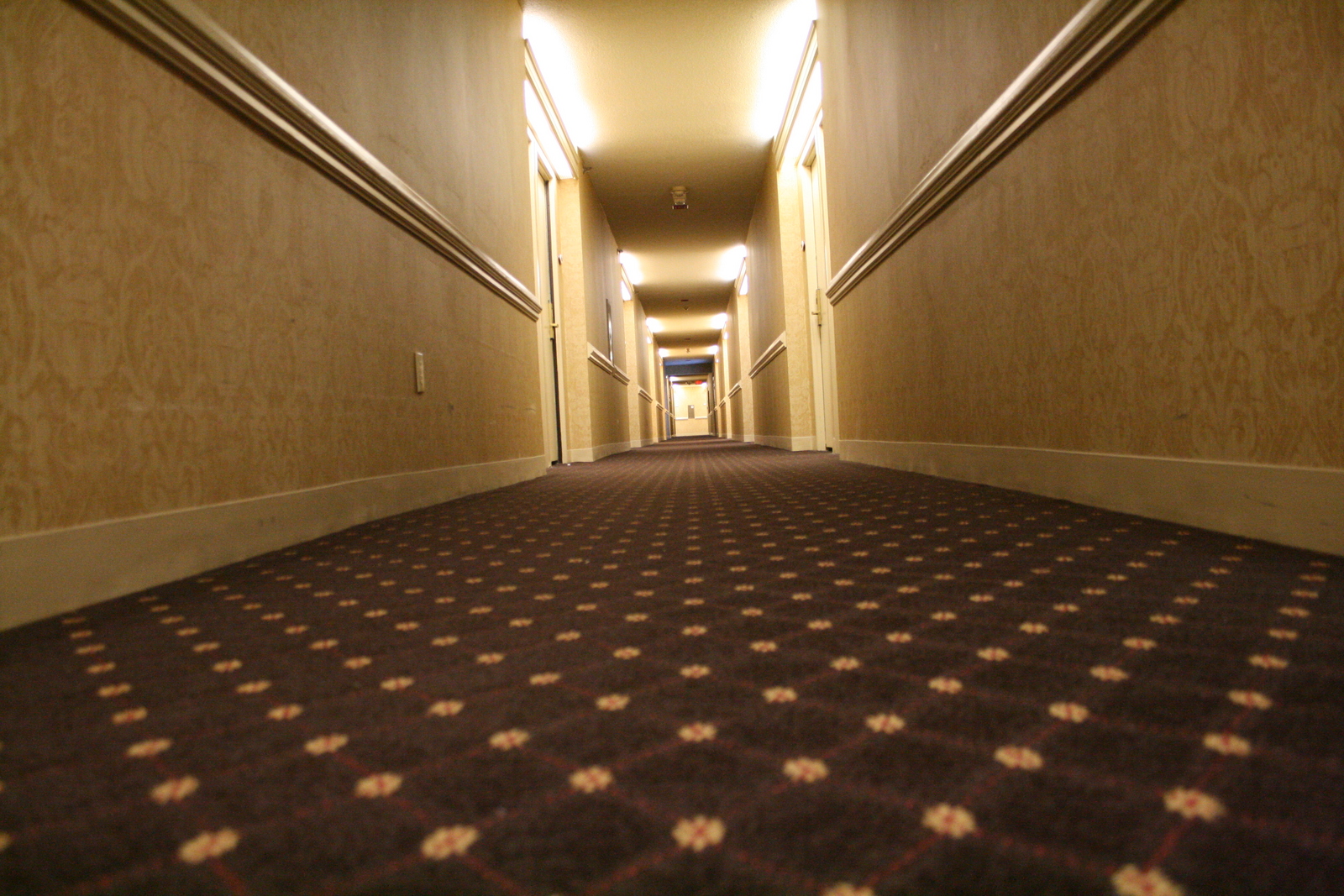 Varieties of hotel carpet