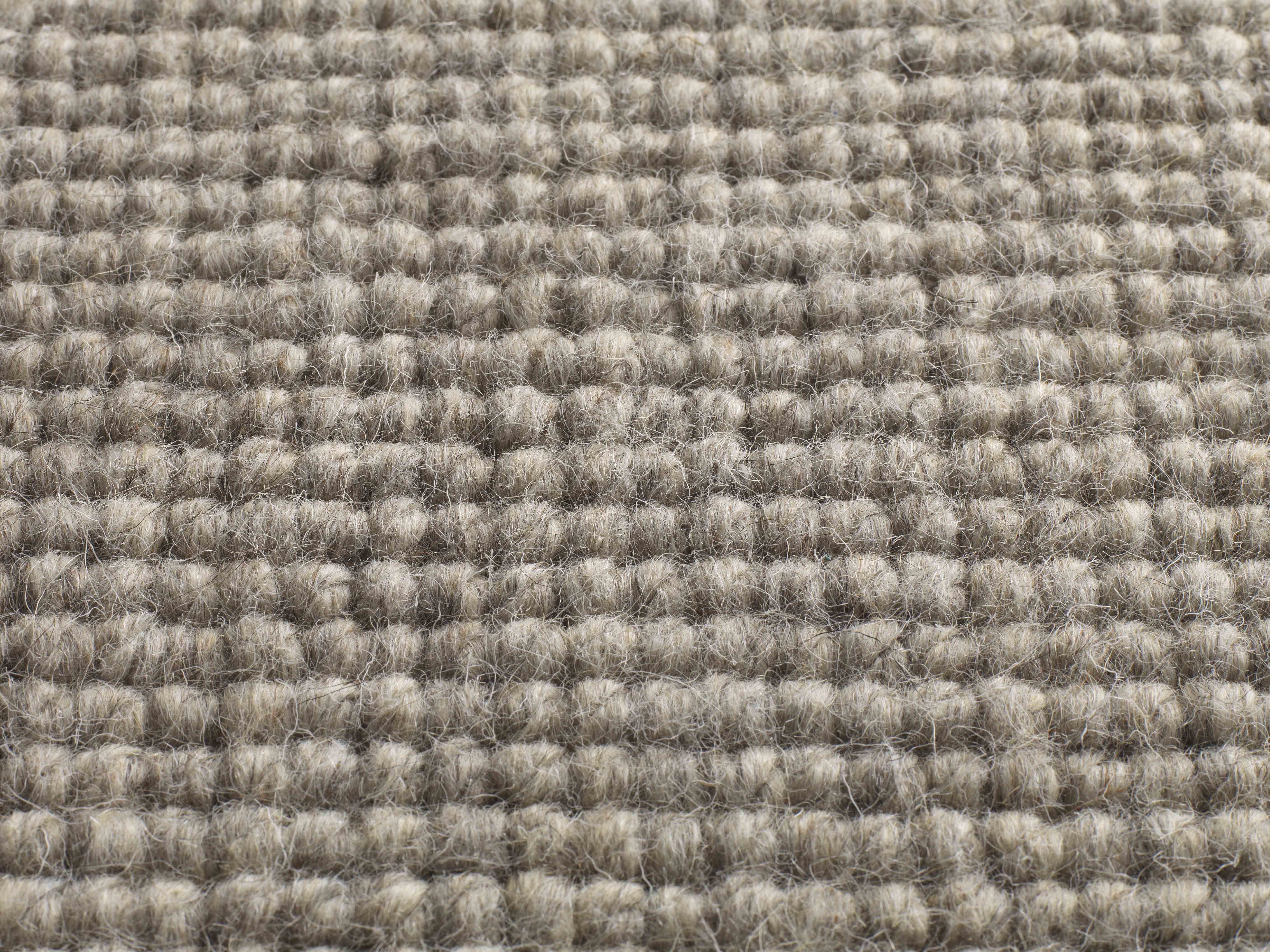 jacaranda carpets chandigarh pewter broadloom carpet 4 u0026 5 meter 100%  undyed JYKKPRT