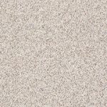 modern twist - z6821 shaw anso nylon carpet BUSYQFV