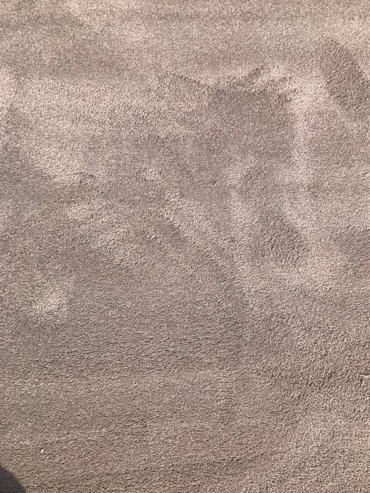 plush carpet grey area rug, 12 x 6 and 4.6 x 10 VJPJYUC