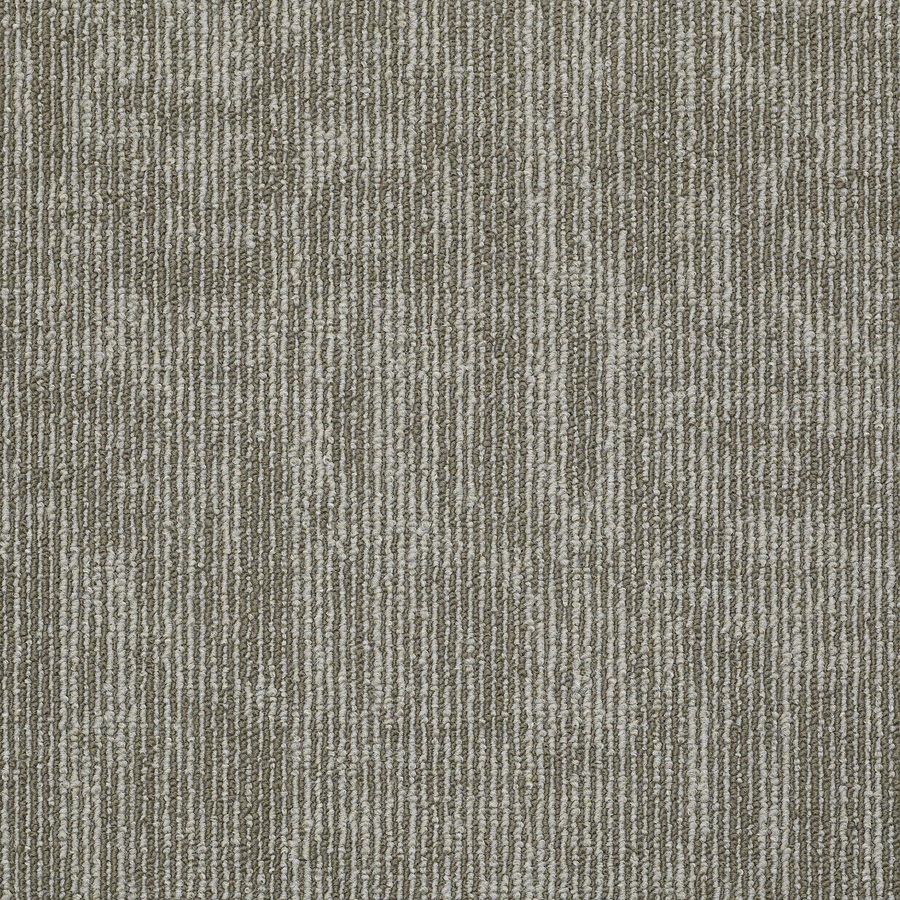 shaw carpet tile shaw in demand lokworx 12-pack 24-in x 24-in mirror image OLOMDKF