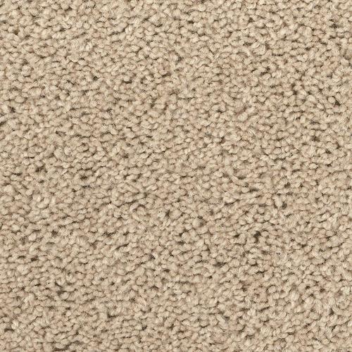 shaw® abigail plush carpet 12 ft. wide at menards® ROXXBAV