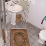 small rug in bathrooms ... persian rug in bathroom ... YXSPOPC