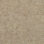 textured carpet beachcomber barnacle bcm0231 DDHKUUH