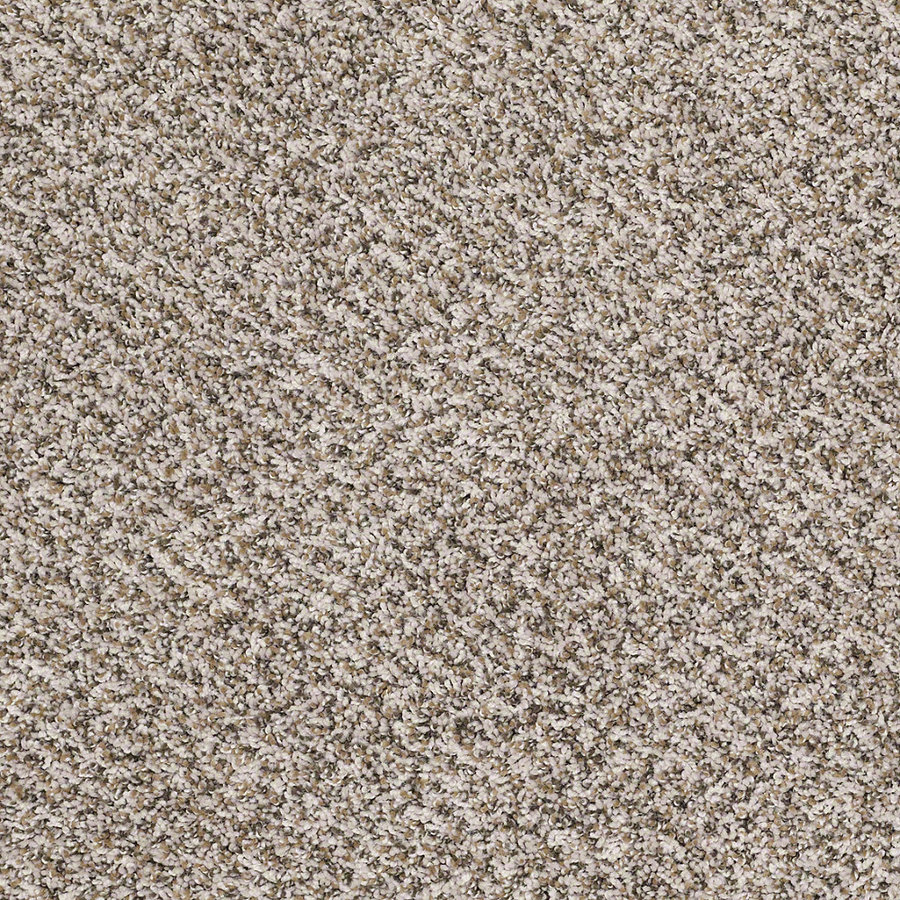 textured carpet shaw stock textured indoor carpet FVAEQJW