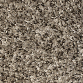 textured carpet stainmaster essentials notorious gaucho 12-ft w x cut-to-length gaucho  textured ORNIXUW