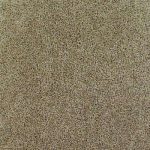 textured carpet thoroughbred ii - color chestnut texture 12 ft. carpet (1080 sq. ft. ZDGEKQA