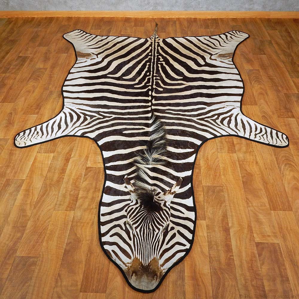 zebra rugs african zebra rug mount for sale #15265 @ the taxidermy store HKPJOHQ