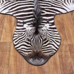 zebra rugs animal skin rugs and zebra rug for floor covering ideas with hardwood DLZGPFC