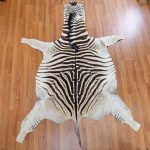 zebra rugs ... EVGTHDG