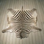 zebra rugs zebra rug mount #10953 - the taxidermy store PKYLSSY