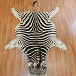 zebra rugs zebra skin for rug ... ZJISZYG