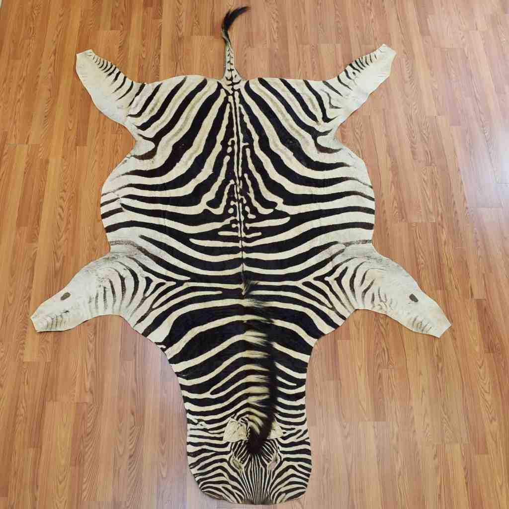 Overview of zebra rugs