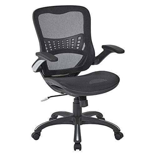 Office Chair Lumbar Support: Amazon.com