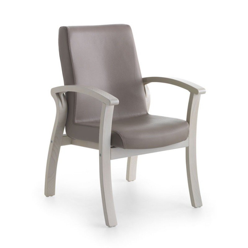 50+ Armchairs for Elderly & Guide How to Choose The Best - Ideas on