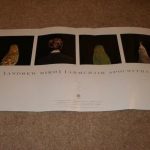 Andrew Bird Armchair Apocrypha Poster & Postcard | #16295549