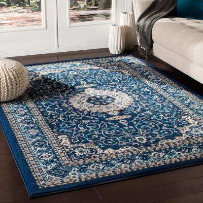 Blue - Area Rugs - Rugs - The Home Depot