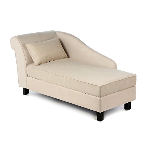 Amazon.com: Castleton Home Storage Chaise Lounge Modern Long Chair