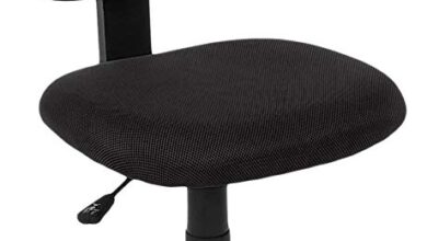 Amazon.com: AmazonBasics Low-Back Computer Task/Desk Chair with
