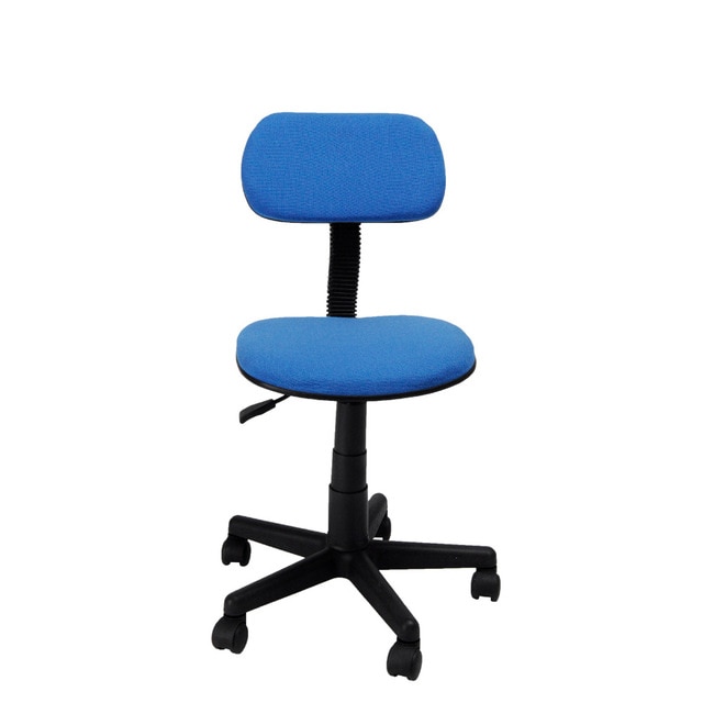 Aingoo Ergonomically Office /Task/Computer Chair with Fabric Pads