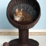 21 Cool Furniture For Pets | my dream house | Cats, Pets, Cat furniture