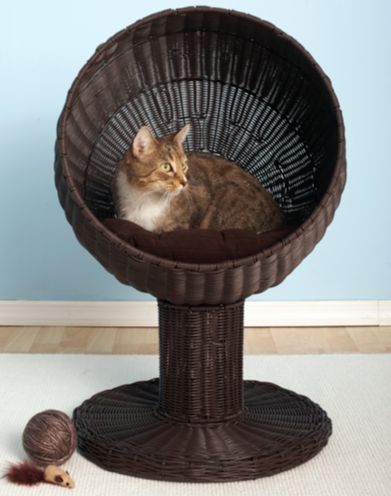 21 Cool Furniture For Pets | my dream house | Cats, Pets, Cat furniture