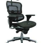Ergohuman Mesh High Back Ergonomic Chair w/Headrest | OfficeChairs.com