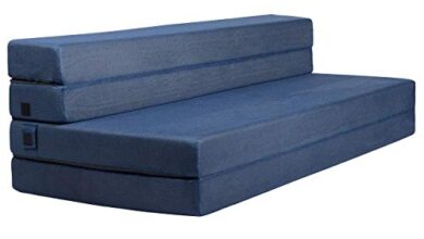 Fold Out Sofa Bed: Amazon.com
