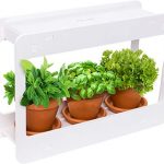 Amazon.com : Mindful Design LED Indoor Herb Garden - at Home Mini