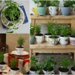 24 Indoor Herb Garden Ideas to Look for Inspiration | Balcony Garden Web