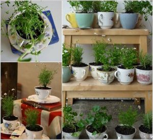 24 Indoor Herb Garden Ideas to Look for Inspiration | Balcony Garden Web