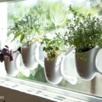Window Herb Garden Kit - Garden Therapy®