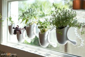 Window Herb Garden Kit - Garden Therapy®