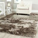 5 X 7 - Brown - Shag - Area Rugs - Rugs - The Home Depot