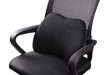 Amazon.com: Dreamer Car Mini Supportive Chair Cushion Lumbar Pillow