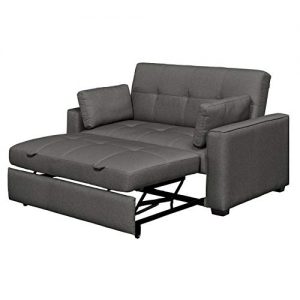 Queen Size Sofa Bed: Amazon.com
