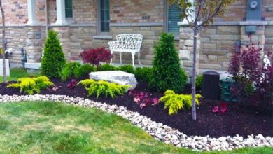 Simple Cheap and Easy Landscaping Design Ideas | gardening for the