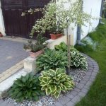 40+ Simple And Cheap Landscaping Ideas You Can Copy | Cheap