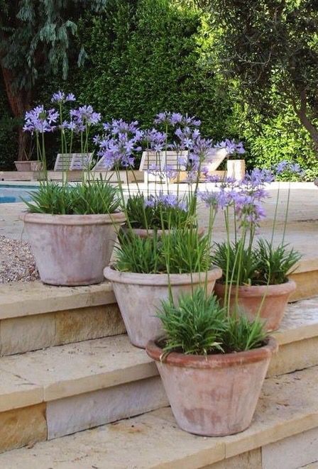 How to design your home with garden pots?